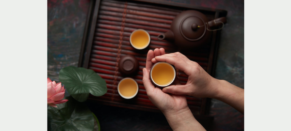 Indulge In Blissful Brews: Explore Green Tea Flavours & Types