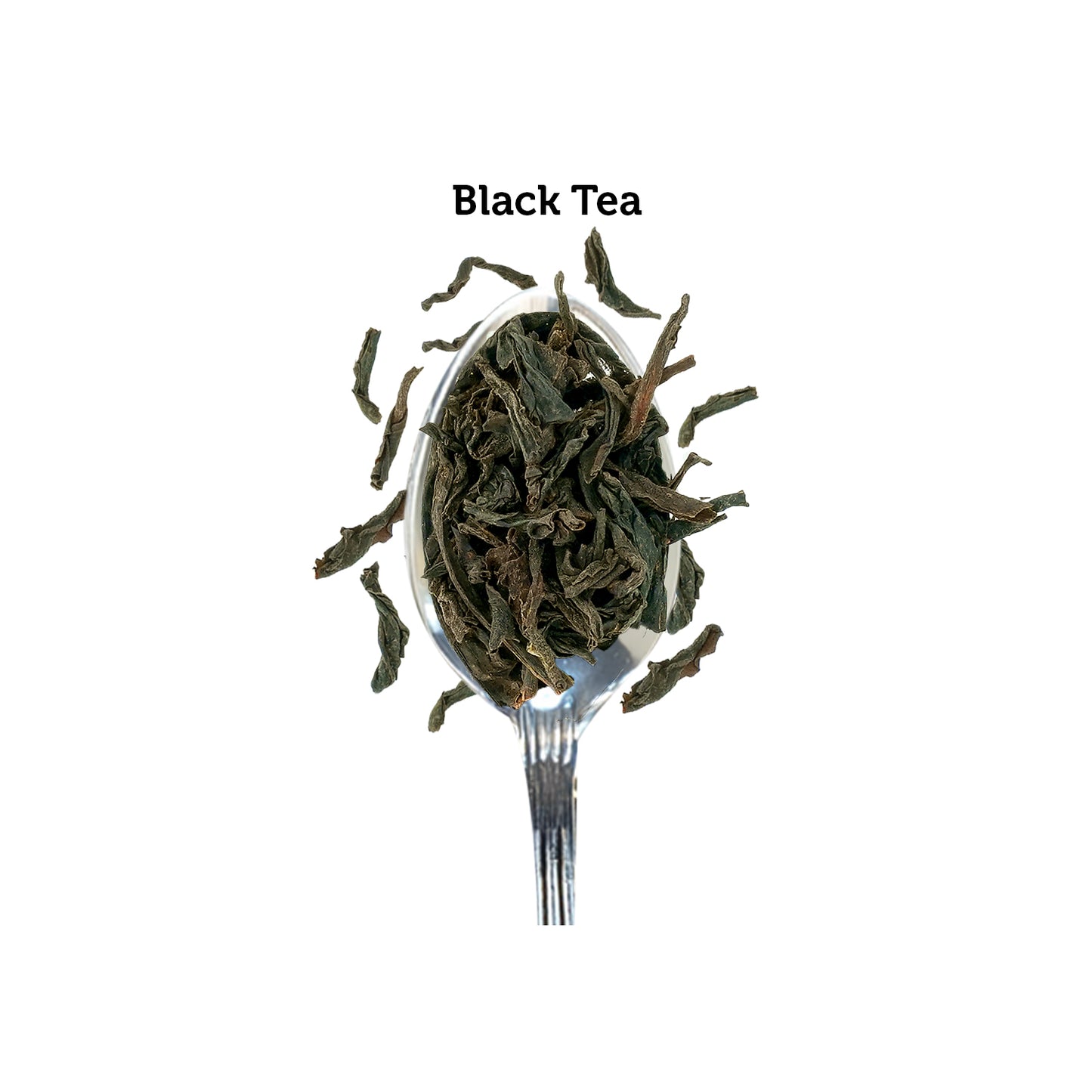 Lush Nilgiri