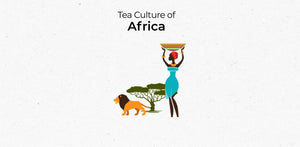 TCW africa
