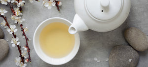 White Tea And Its Many Benefits