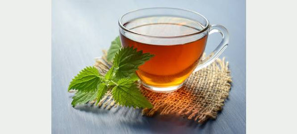 How To Make Green Tea with Tea Bags?