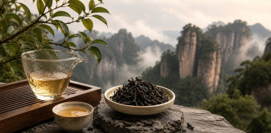 Mt. Wuyi Oolong: Inside China's Most Mysterious Rock Tea