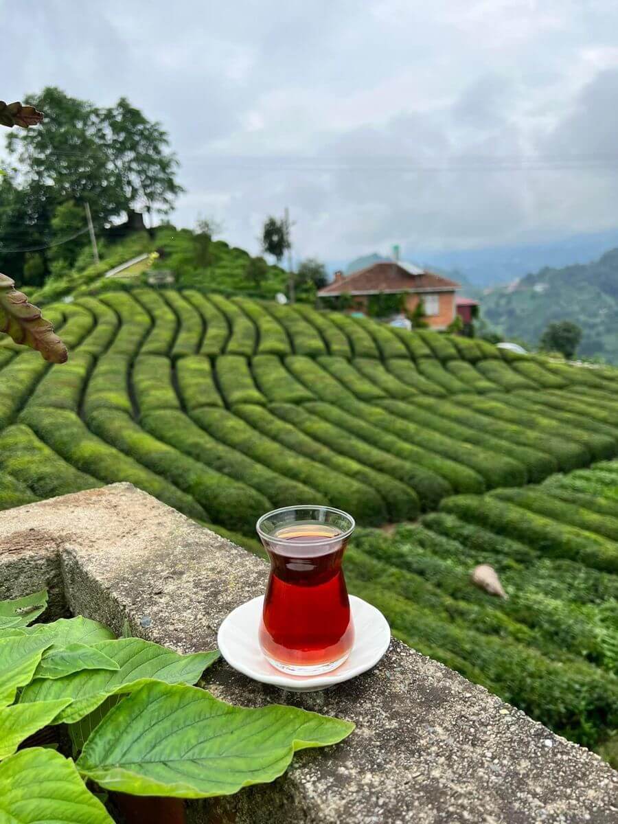 Sustainable Tea: Supporting Communities & Nature