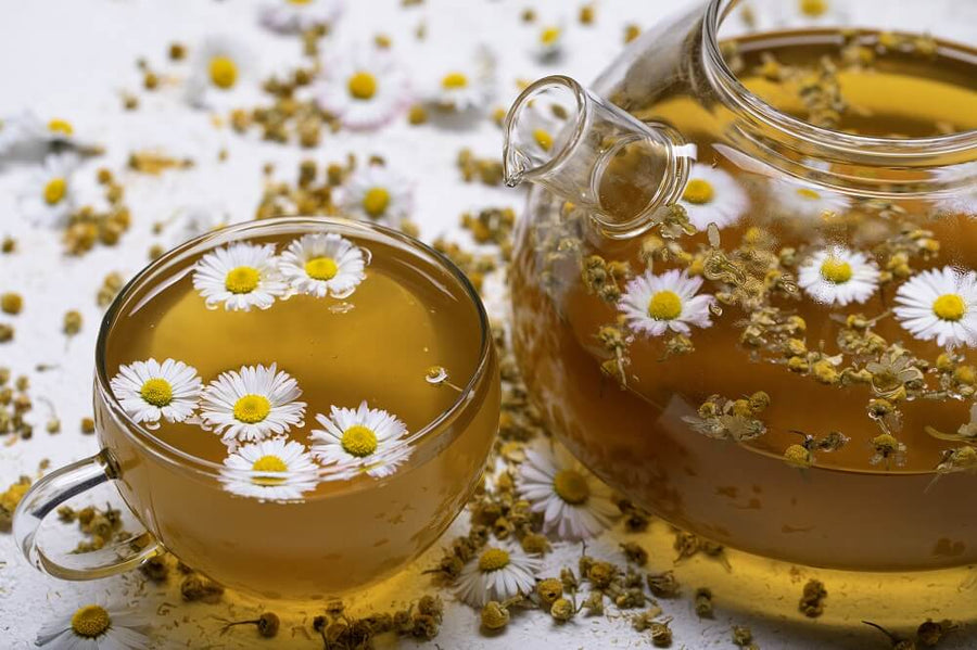 Can tea help you sleep Magic of best chamomile tea for sleep Tea