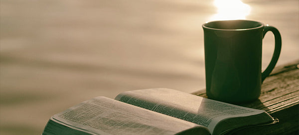 Indulge In Wellness With Our Tisane Teas