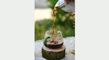 All About Moroccan Mint Tea: Origin, Recipe & Benefits!