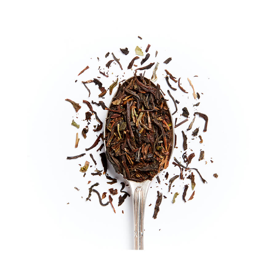 darjeeling first flush