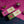 Delight All - Feel Good