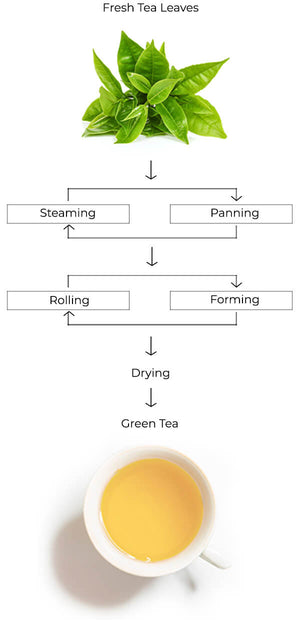 green tea process