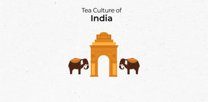TCW India