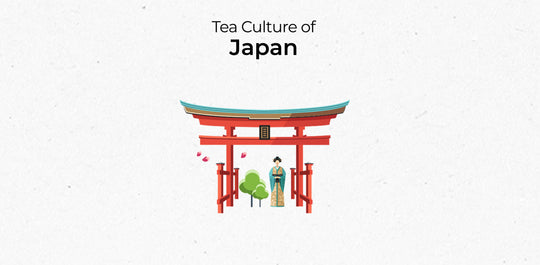 Tea Culture Of the Japan | Tea Culture of the World