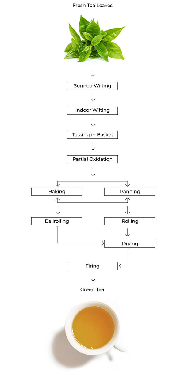 Tea Types Best Oolong Tea Online Tea Culture Of The World Tea