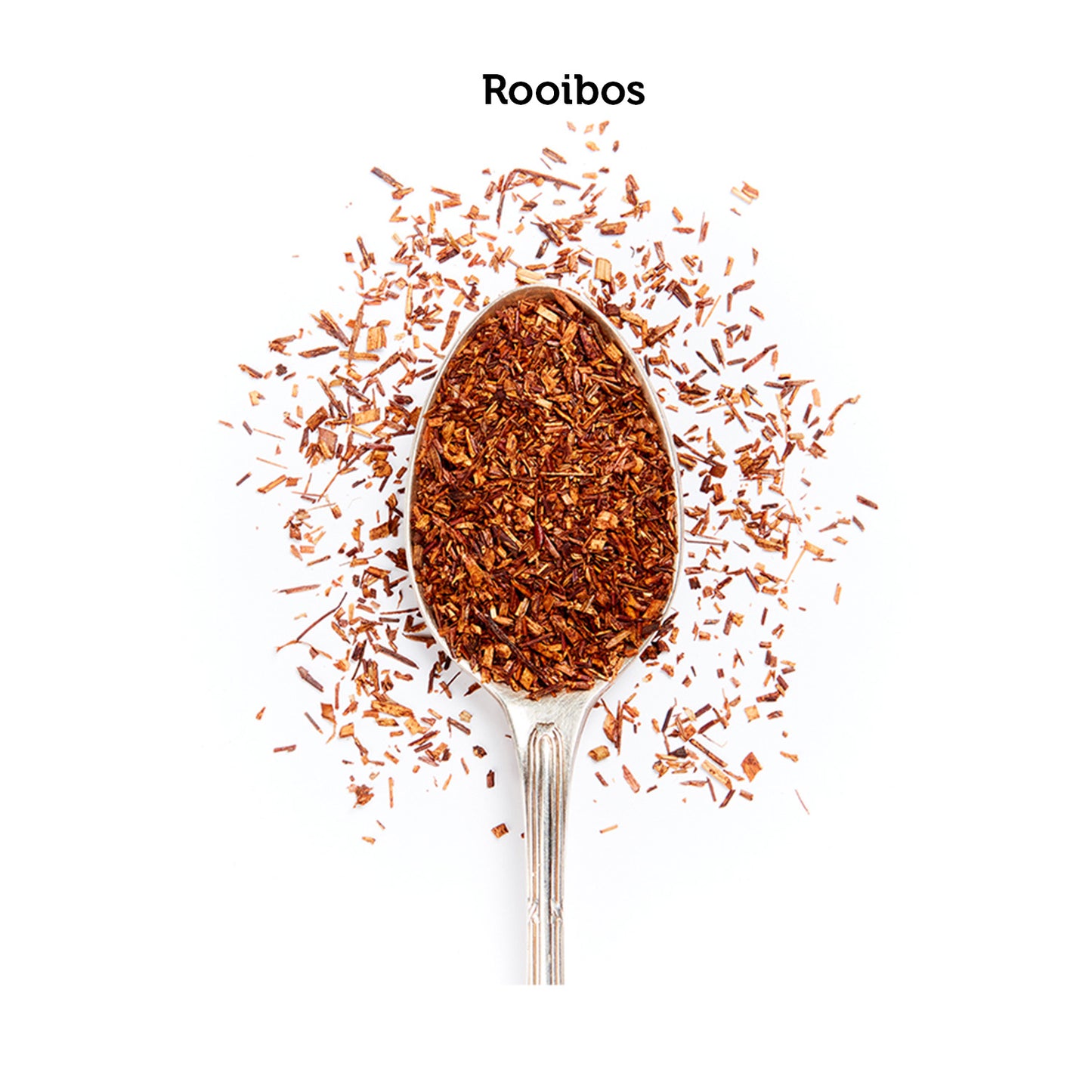 Rooibos