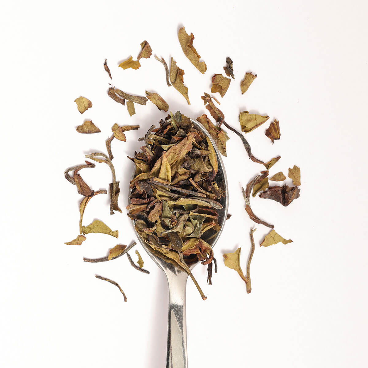 White Champagne Raspberry