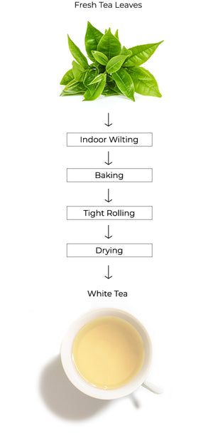 white tea process
