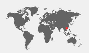 vietnam country of origin