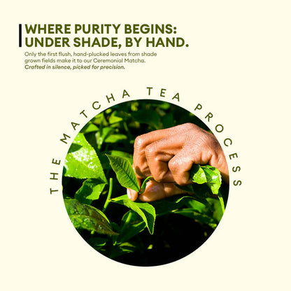 Matcha - Ceremonial Grade (Japanese Green Tea)