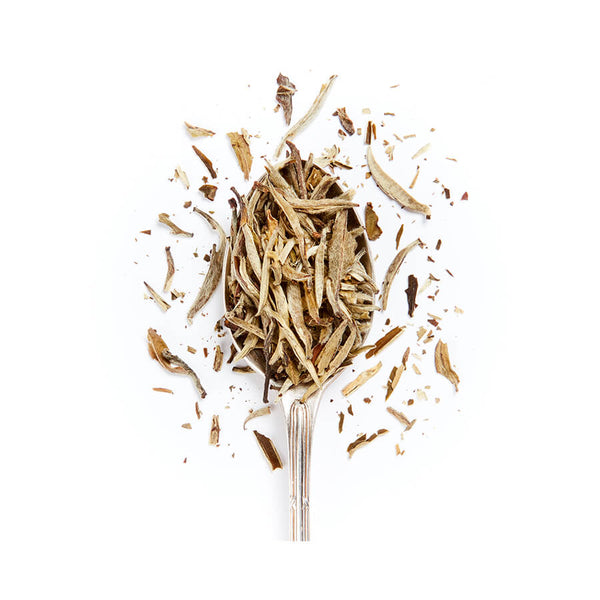 Silver Needle Loose Leaf White Tea Online